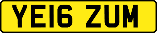 YE16ZUM