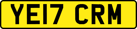YE17CRM