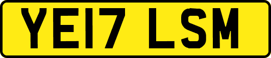 YE17LSM