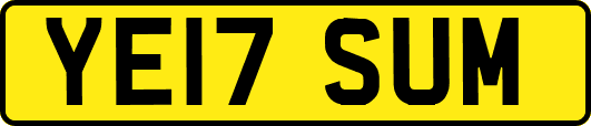 YE17SUM