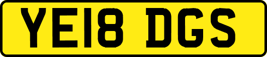 YE18DGS