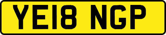 YE18NGP