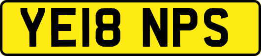YE18NPS