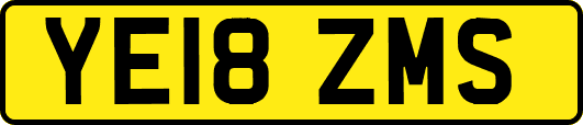 YE18ZMS