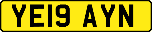 YE19AYN