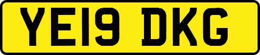 YE19DKG