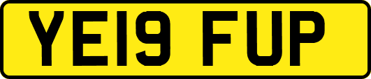 YE19FUP