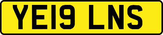 YE19LNS