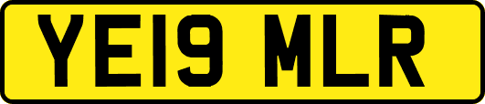 YE19MLR