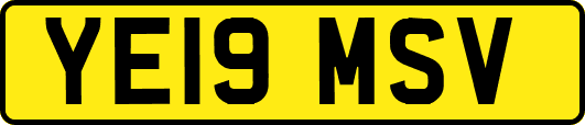YE19MSV