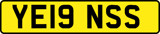 YE19NSS