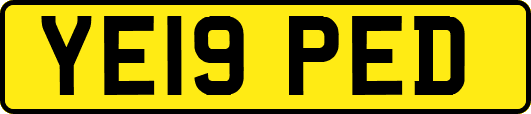 YE19PED