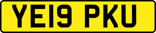 YE19PKU