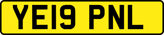 YE19PNL