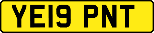 YE19PNT