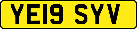 YE19SYV