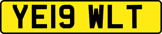 YE19WLT