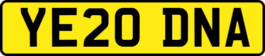 YE20DNA