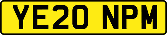 YE20NPM
