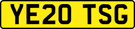 YE20TSG