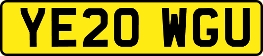 YE20WGU