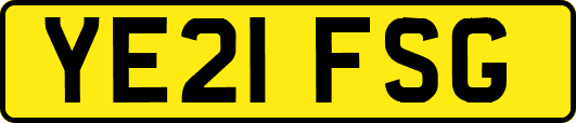 YE21FSG