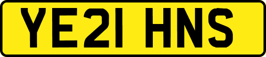 YE21HNS
