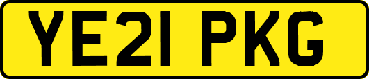 YE21PKG
