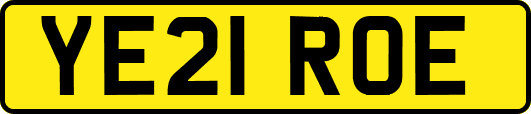 YE21ROE