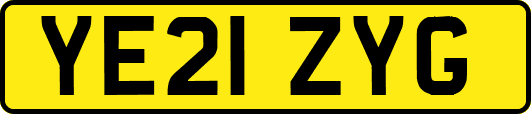 YE21ZYG