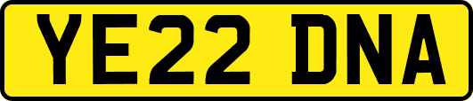 YE22DNA
