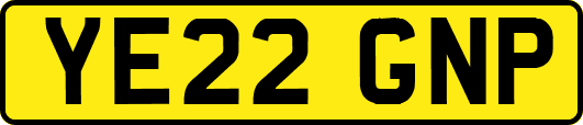 YE22GNP