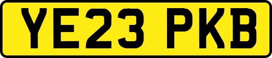 YE23PKB