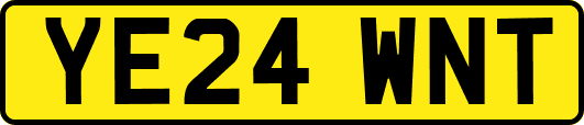 YE24WNT