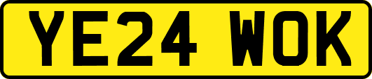 YE24WOK