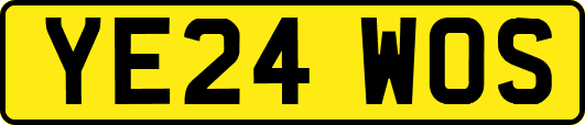 YE24WOS