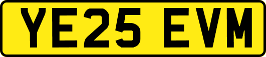 YE25EVM