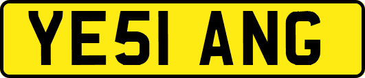 YE51ANG