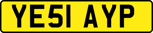 YE51AYP