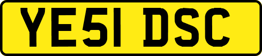 YE51DSC