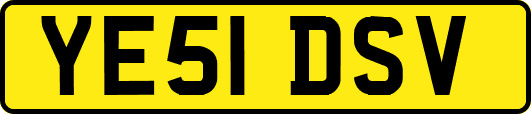 YE51DSV