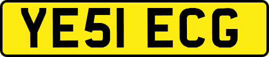 YE51ECG