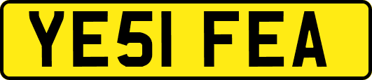 YE51FEA