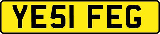 YE51FEG