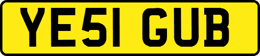 YE51GUB