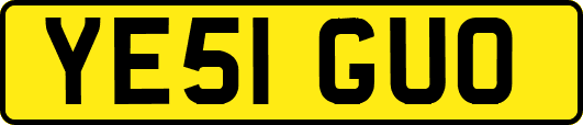 YE51GUO