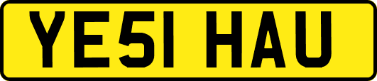 YE51HAU