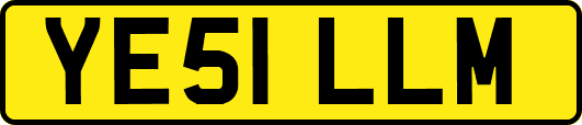 YE51LLM