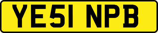 YE51NPB