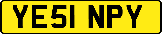 YE51NPY